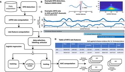 Viability of Preictal High-Frequency Oscillation Rates as a Biomarker for Seizure Prediction